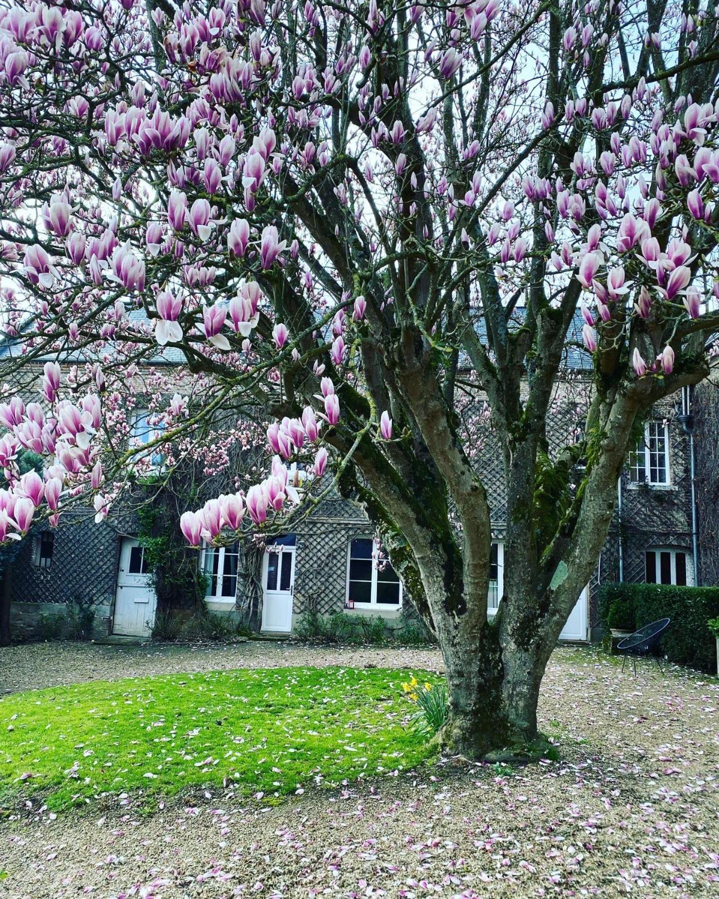 Cany-BarvilleLa Benjamine住宿加早餐旅馆 外观 照片
